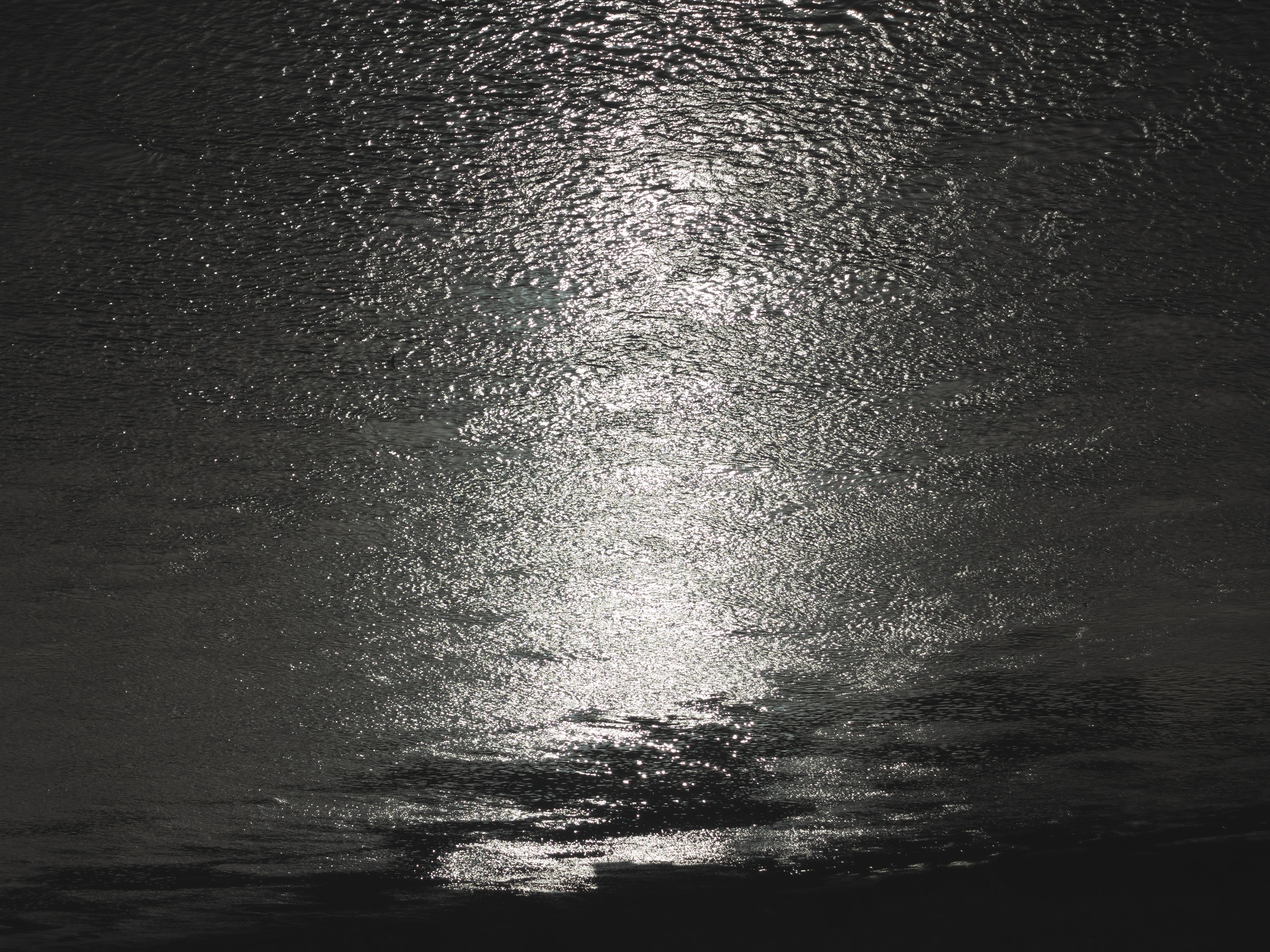 L'Ebre (Mora la Nova) - 2022 - Marco Noris